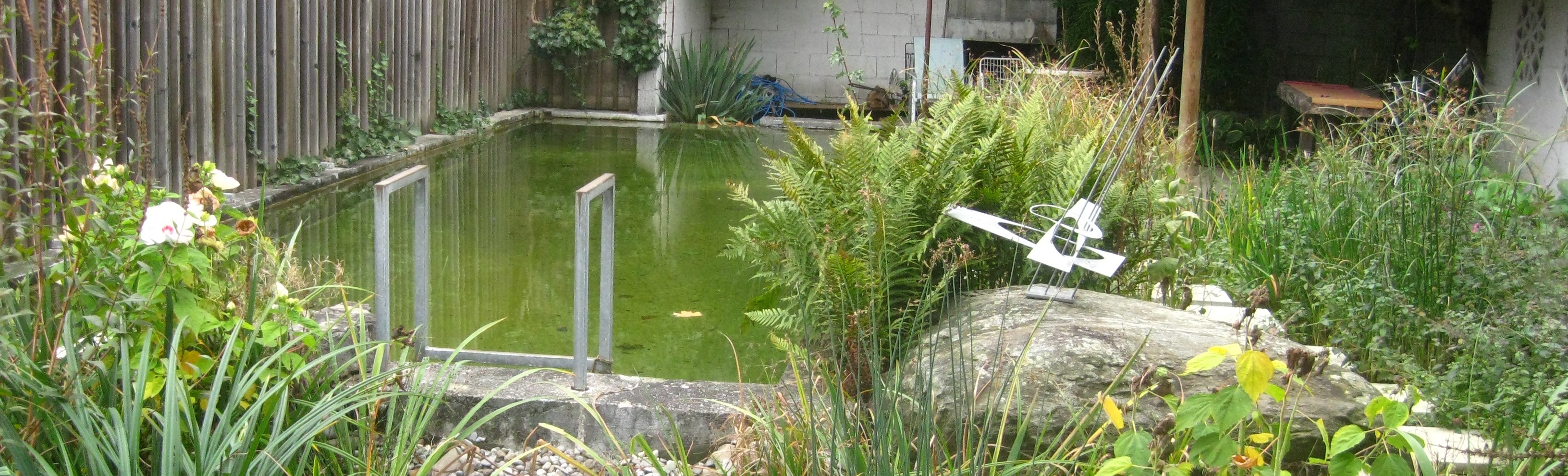 Schwimmteich